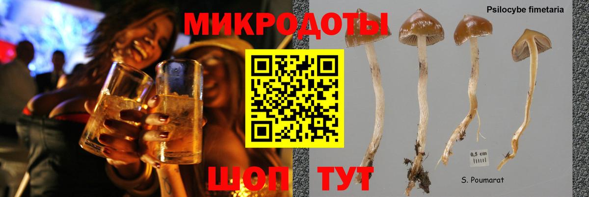 Галлюциногенные грибы мухоморы  Вход с VPN  хочу наркоту  Грозный 